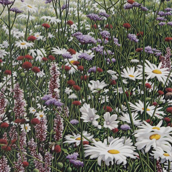 'Flora & Fauna'
