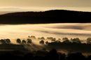 Shropshire Valley Mist