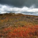 Shepherds Rock, Stiperstones