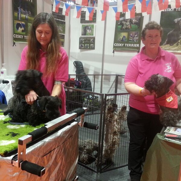 National Pet Show, 2019
