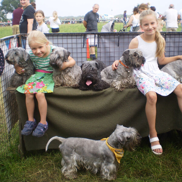 Cheshire 2019