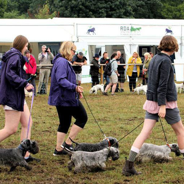 Breed Parade, 2019 - in the mud!