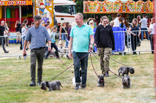 The Game Fair, 2021