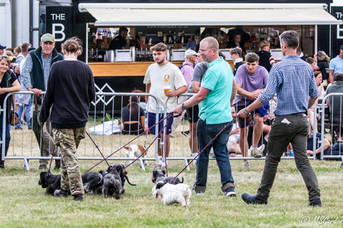 The Game Fair, 2021