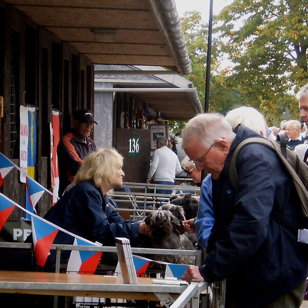 Autumn Show, Malvern 2018