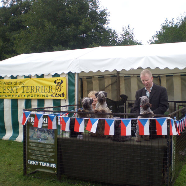 Sandringham 2017