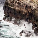 Off Dunnet Head