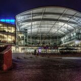 Night at The Forum