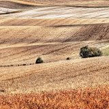 An Unfolding Landscape