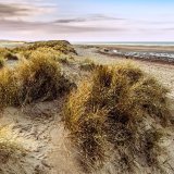 Evening Stroll on Holkham