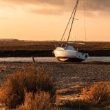 Evening Light