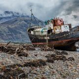 Beached