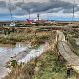 Boardwalk Over the Creek