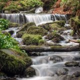 Cascade