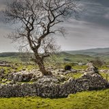 Lone Tree, Chapel-le-Dale