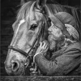 Companions