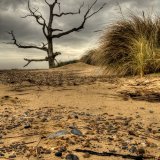 Covehithe Beach