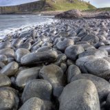 Embleton Bay to Dunstanburgh