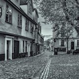 Elm Hill