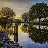 Evening Light