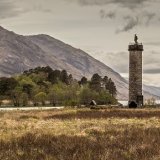 The Bonnie Prince Looks On
