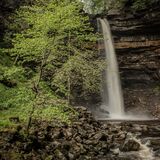 Hardraw Force