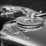 Classic Jaguar