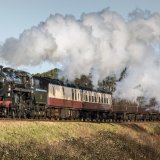 Norfolk Steam