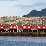 Lofoten Stockfish
