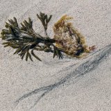 On Heisker Beach