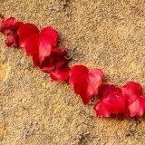 String of Hearts