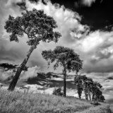 The Brecks, Infrared