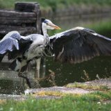 The Lock Keeper