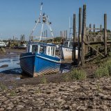 Low Tide