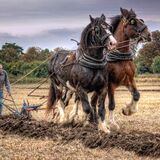 Two Horsepower