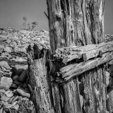 Weathered by Storms