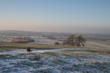 Tobogganing