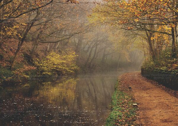 Misty Towpath