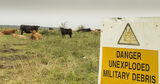 Dont Mooove