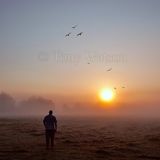 Dawn