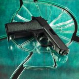 1902012 gun