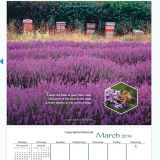 Bee-happy-calendar