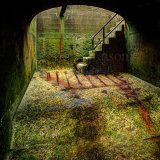 Chamber