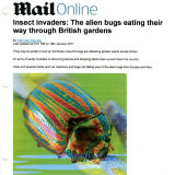 Daily-Mail