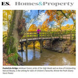 ES-mag