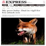 Express-Newspaper