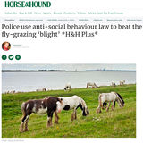 HorseandHound