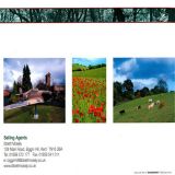 Ibbett-Mosely-Estate-Agents