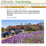 Lifestyle-Telegraph