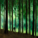 Stranger in the Forest
